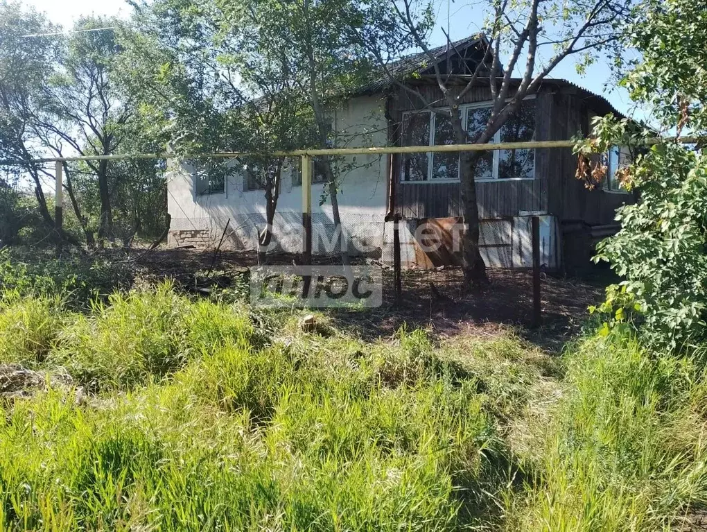 Дом в Воронежская область, Хохольский район, с. Гремячье ул. Чкалова, ... - Фото 1