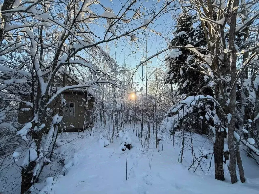 Участок в Ленинградская область, Волховский район, Кисельнинское ... - Фото 1