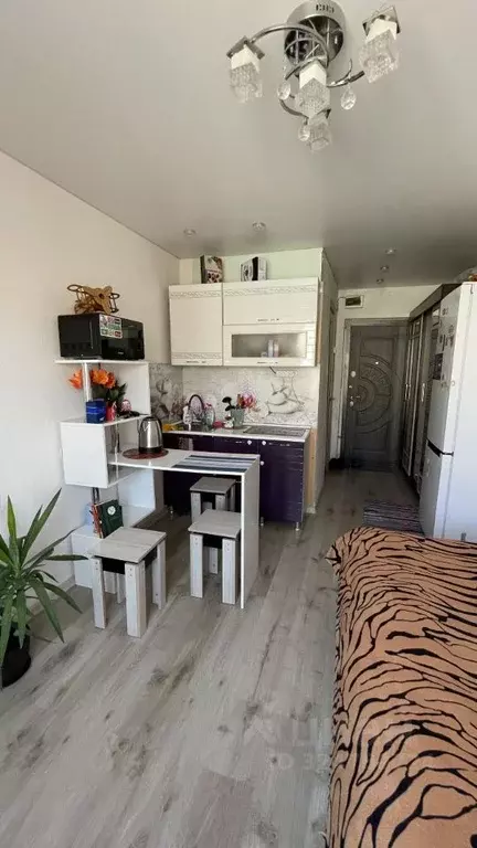 Студия Приморский край, Владивосток ул. Надибаидзе, 30 (17.0 м) - Фото 1