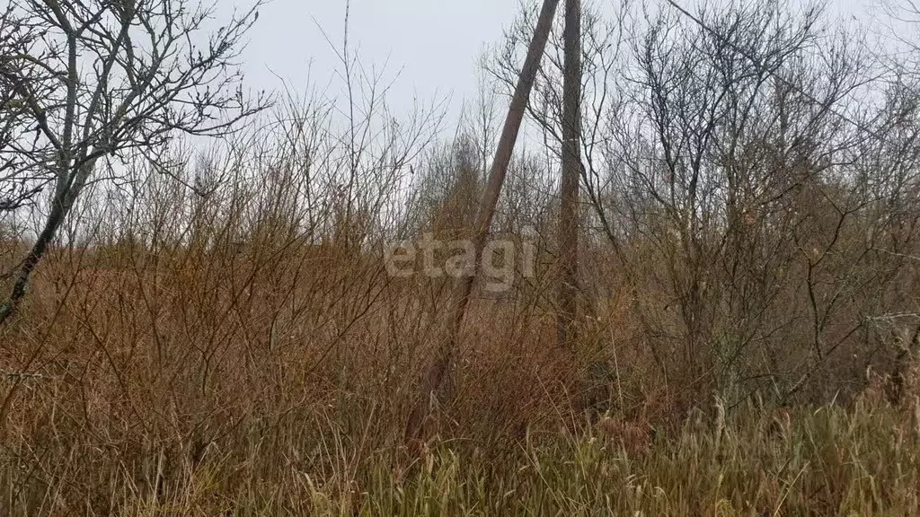 Участок в Ленинградская область, Гатчинский район, пос. Новый Свет, ... - Фото 1