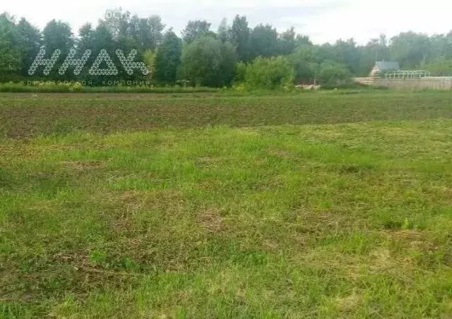 Участок в Нижегородская область, Богородский муниципальный округ, ... - Фото 1