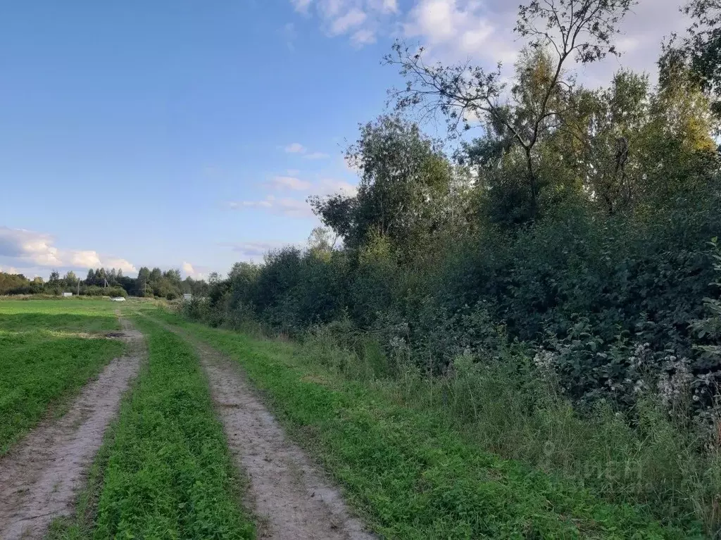 Участок в Ленинградская область, Приозерский район, Красноозерное ... - Фото 0