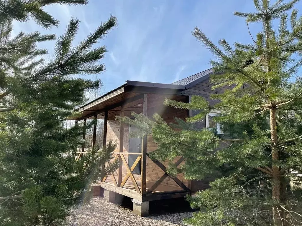 Дом в Псковская область, Пушкиногорье городское поселение, д. Авдоши  ... - Фото 1