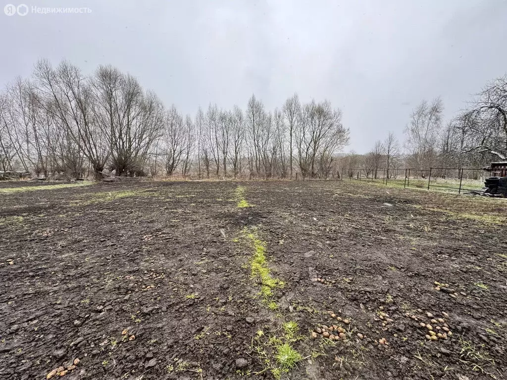 Дом в деревня Антоновка, улица Ромашина, 52 (60 м) - Фото 1