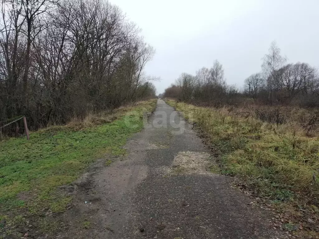 Участок в Макарово, село Макарово (30 м) - Фото 2