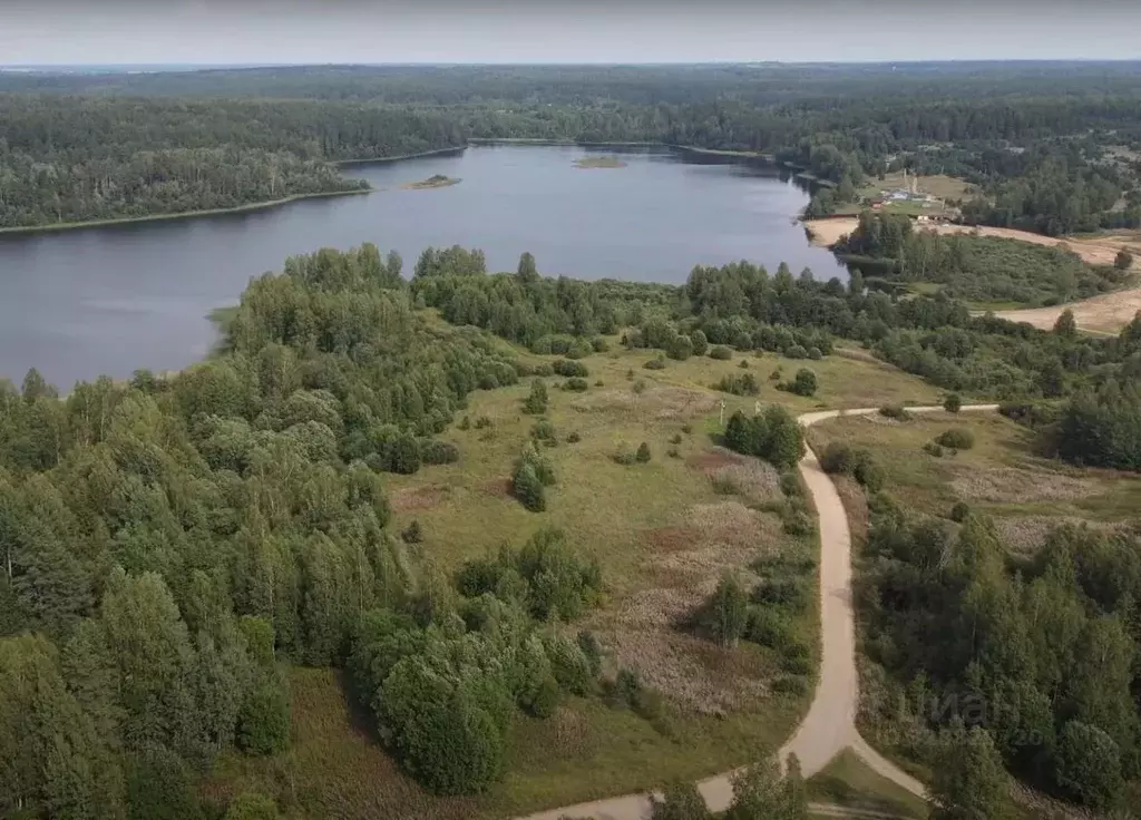 Участок в Новгородская область, Валдайский район, Короцкое с/пос, д. ... - Фото 2