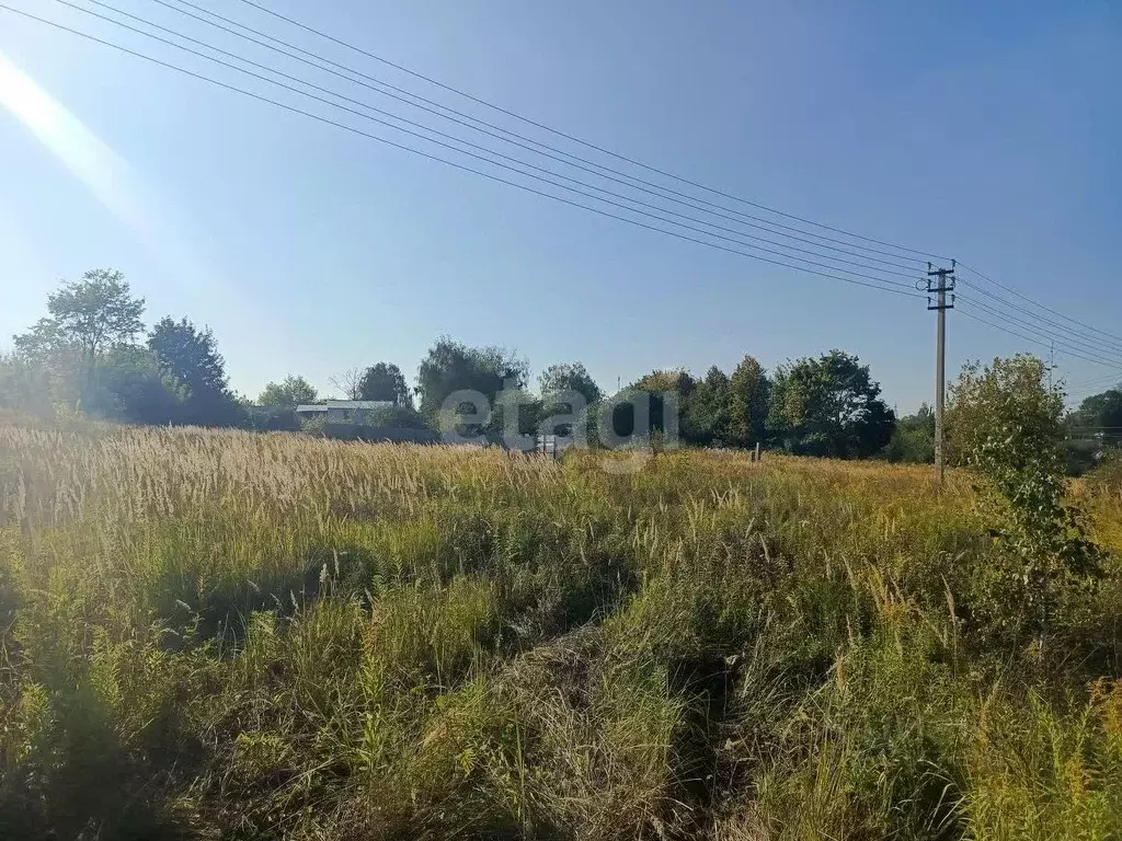 Участок в Тульская область, Щекинский район, Ломинцевское с/пос, с. ... - Фото 1