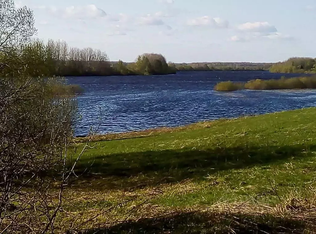 Купить Участок В Чудовском Районе Новгородской Области