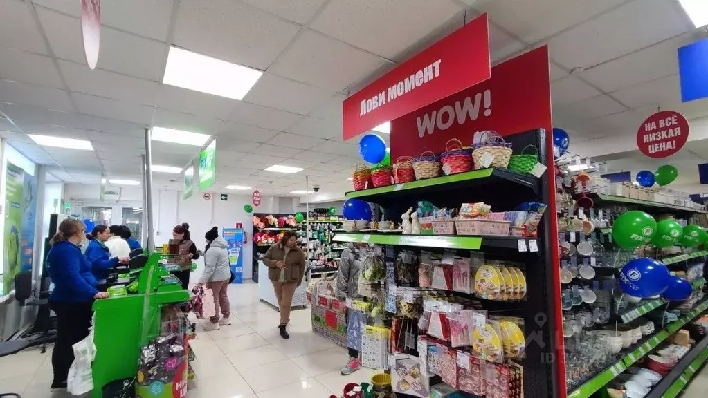 Торговая площадь в Башкортостан, Дюртюли ул. Ленина, 1/1 (290 м) - Фото 1