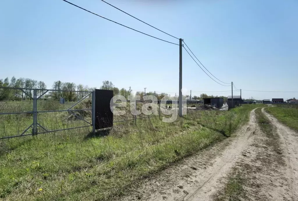 Участок в Брянская область, Брянский район, Отрадненское с/пос, с. ... - Фото 2