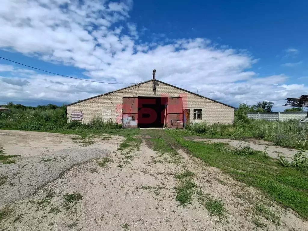 Склад в Самарская область, Новокуйбышевск городской округ, пос. Маяк  ... - Фото 1