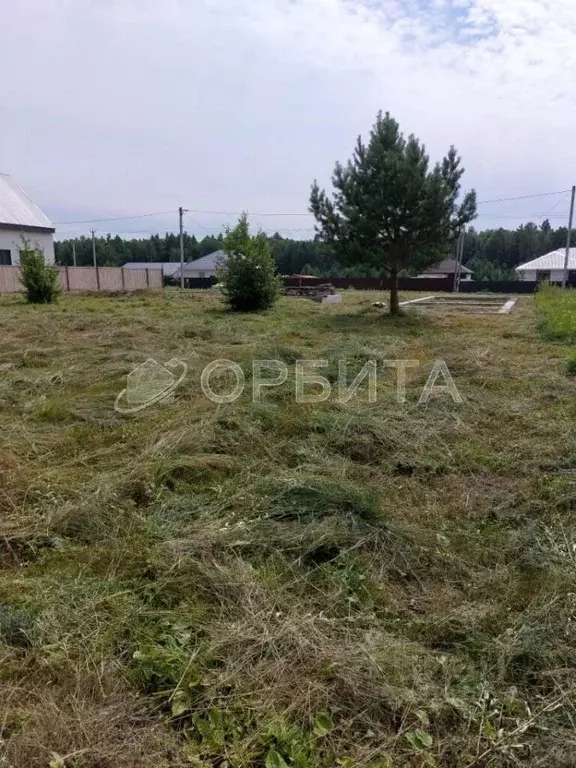Участок в Тюменская область, Нижнетавдинский муниципальный округ, с. ... - Фото 1