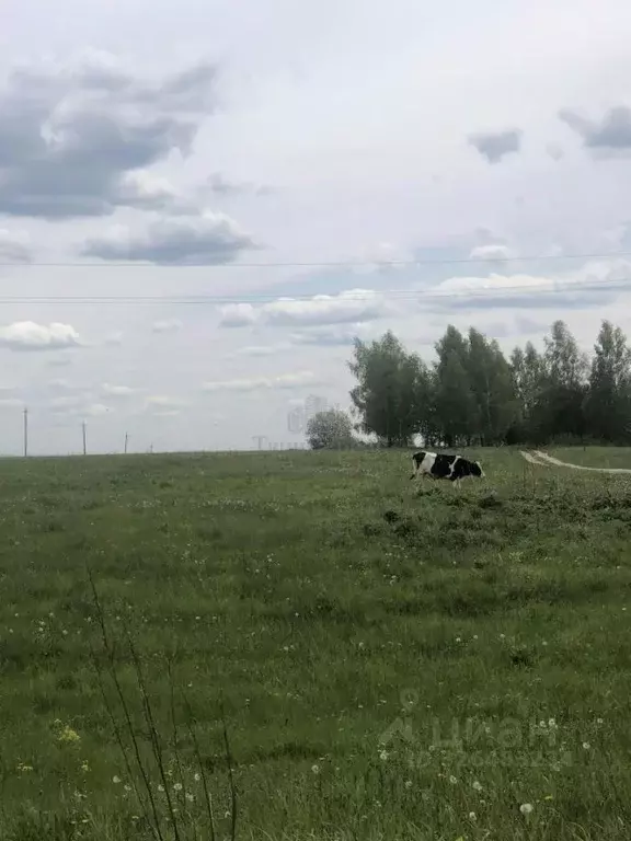 Участок в Тульская область, Щекинский район, Яснополянское с/пос, с. ... - Фото 1