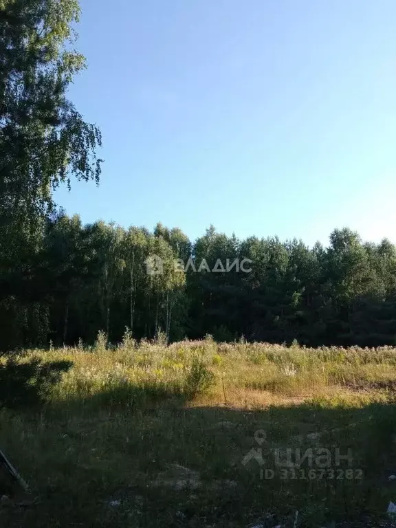 Участок в Нижегородская область, Воскресенский муниципальный округ, с. ... - Фото 1