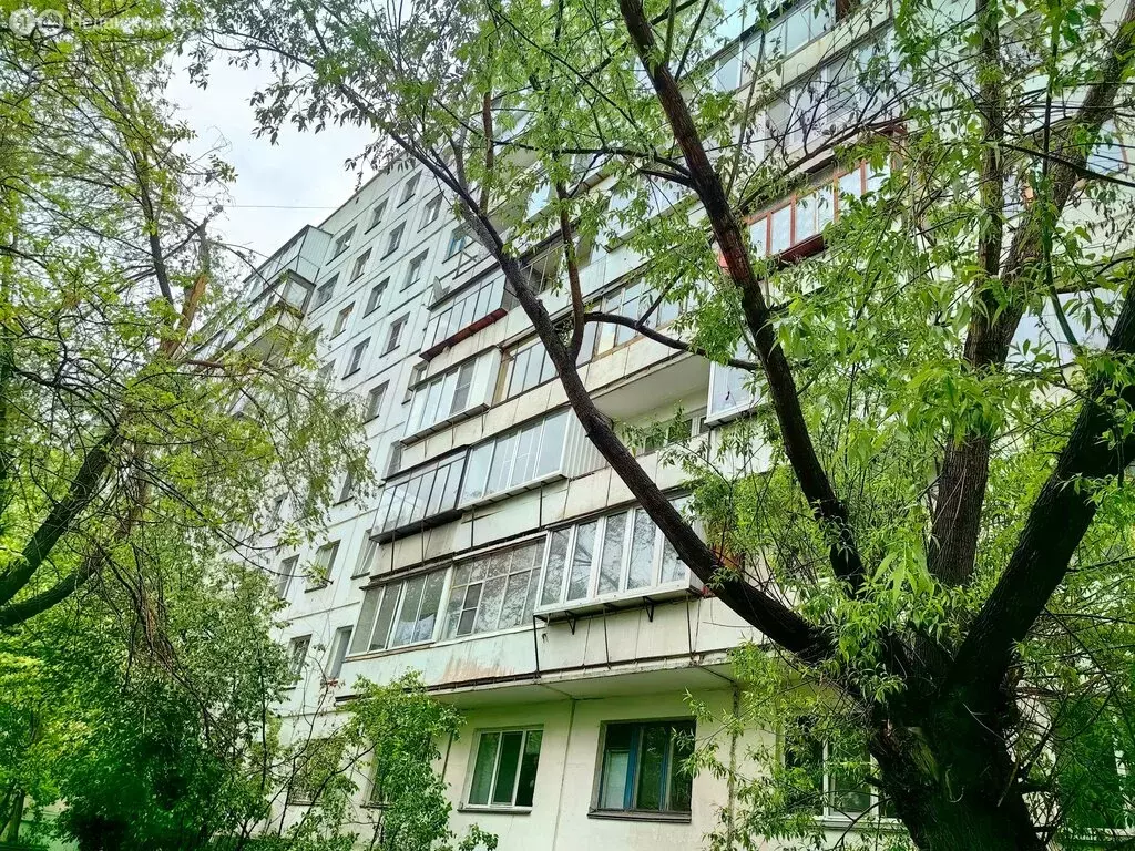 1-комнатная квартира: Челябинск, улица Молодогвардейцев, 64А (30.2 м) - Фото 0