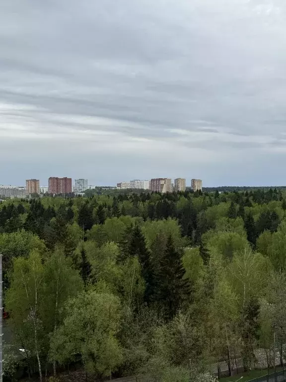1-к кв. Москва ул. 1-я Ватутинская, 14к2 (34.3 м) - Фото 1
