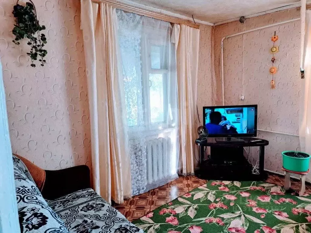 Дом в Амурская область, с. Константиновка ул. Кирпичная, 20 (49 м) - Фото 0