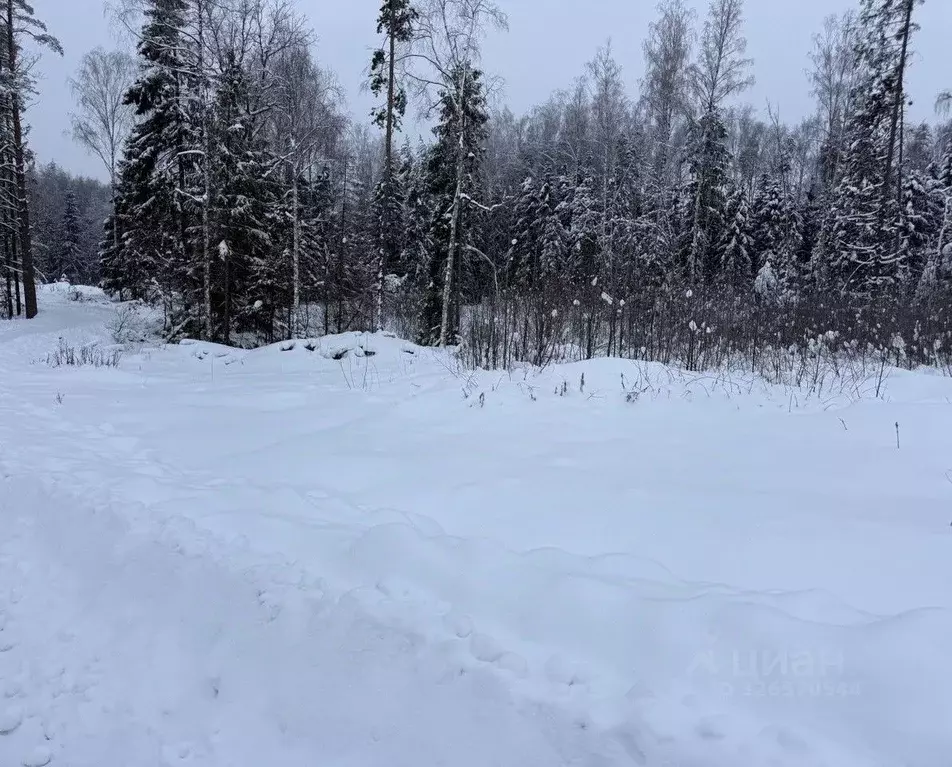 Участок в Московская область, Пушкинский городской округ, д. Могильцы  ... - Фото 1