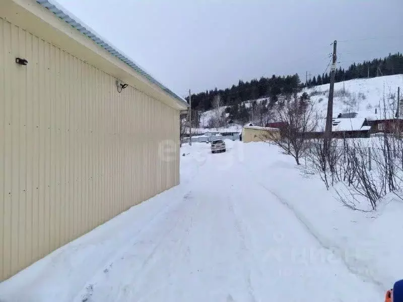 Участок в Пермский край, Кунгурский муниципальный округ, д. Андроново  ... - Фото 1