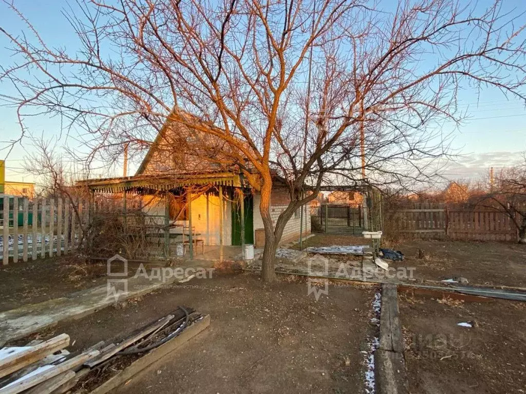 Дом в Волгоградская область, Волгоград Рябинушка СНТ,  (30 м) - Фото 1
