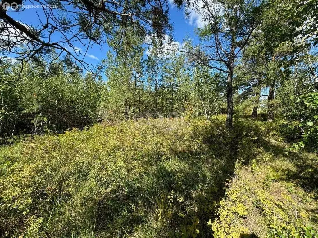 участок в республика саха (якутия), городской округ якутск, село . - Фото 0