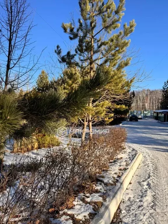 2-к кв. Челябинская область, Чебаркульский муниципальный округ, д. ... - Фото 2