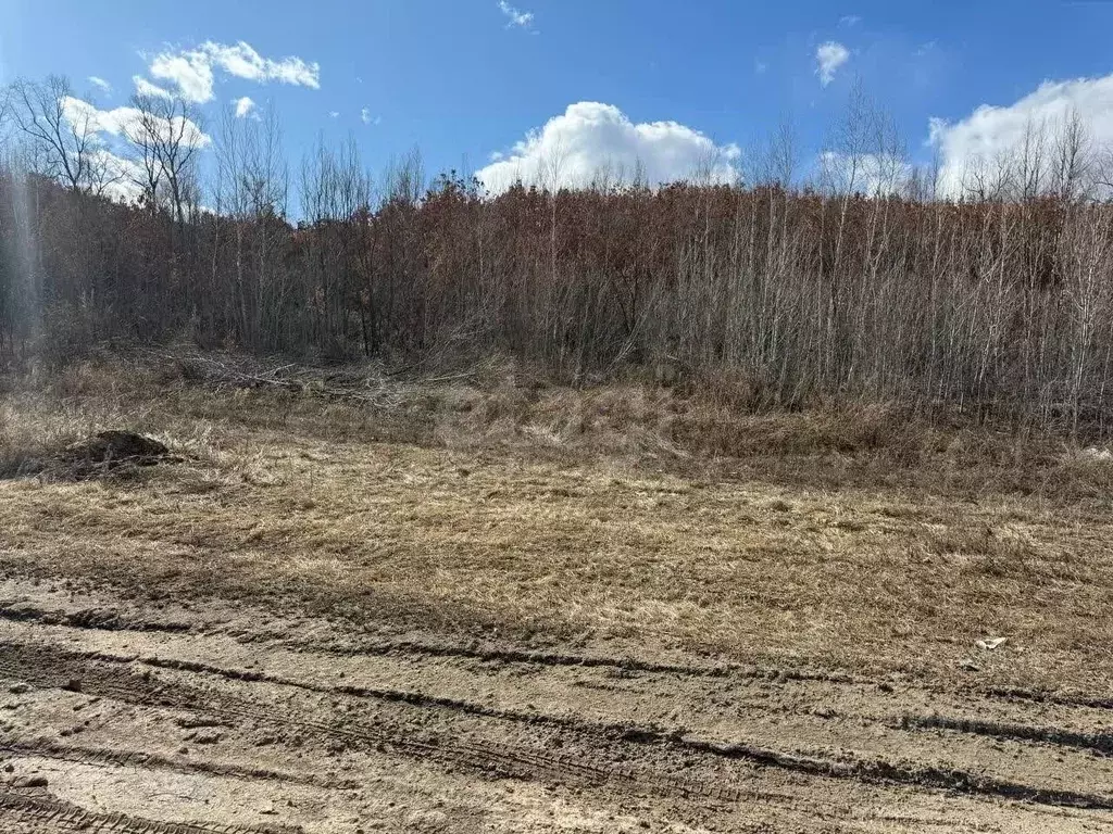 Участок в Амурская область, Благовещенский район, с. Кантон-Коммуна  ... - Фото 1