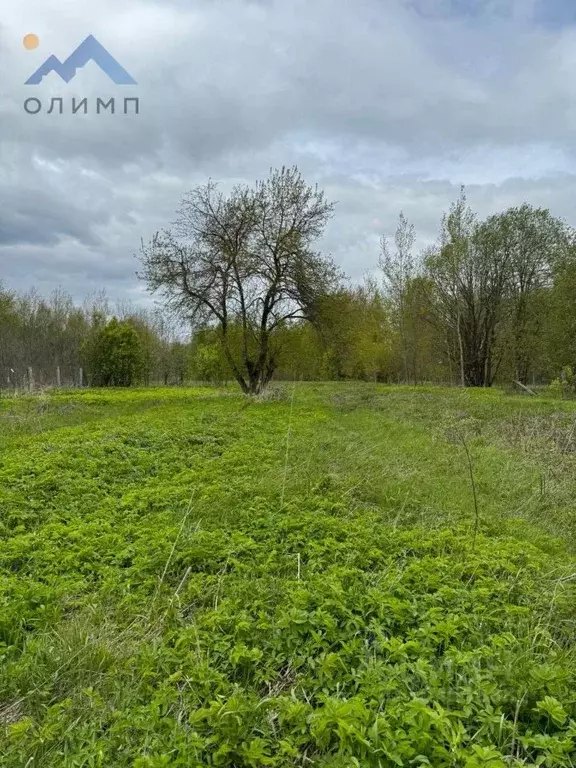 Участок в Ярославская область, Угличский район, Ильинское с/пос, д. ... - Фото 0