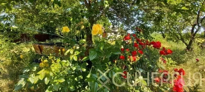 Дом в Ростовская область, Азовский район, Елизаветинское с/пос, Дугино ... - Фото 2