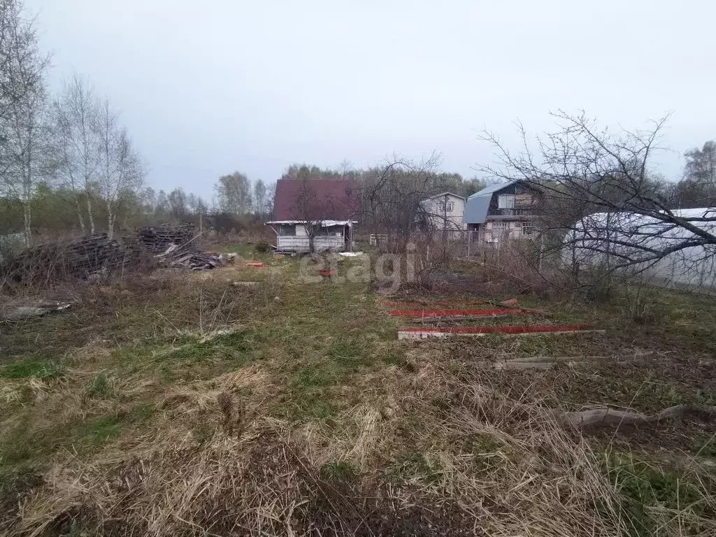 Участок в Нижегородская область, Бор городской округ, д. Петрово, ... - Фото 0