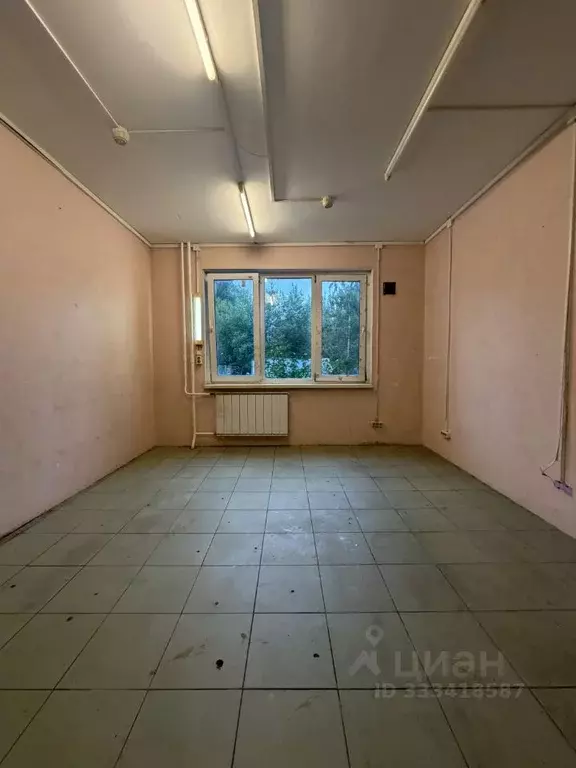Студия Санкт-Петербург ул. Шотмана, 18к2 (18.1 м) - Фото 1