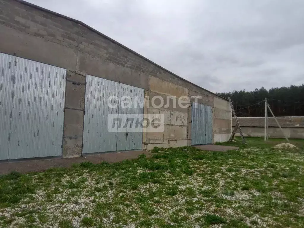 Склад в Мордовия, Ковылкинский район, Примокшанское с/пос, пос. ... - Фото 1