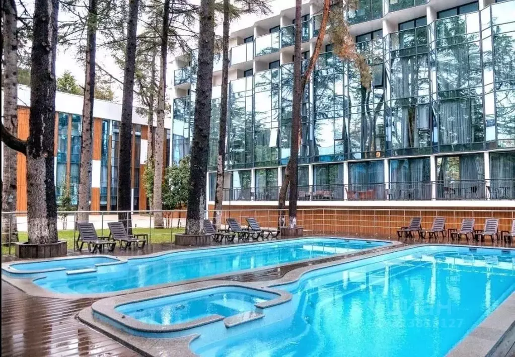 Студия Краснодарский край, Сочи ул. Кирова, 95 (21.1 м) - Фото 2