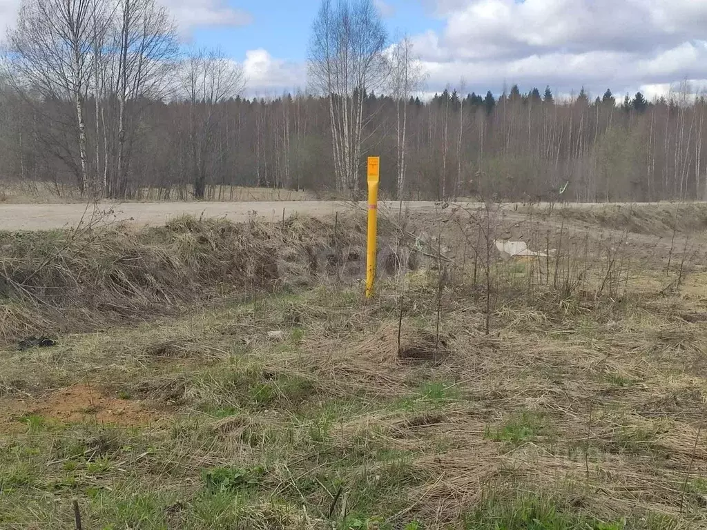 Участок в Вологодская область, пос. Лесково  (8.0 сот.) - Фото 1