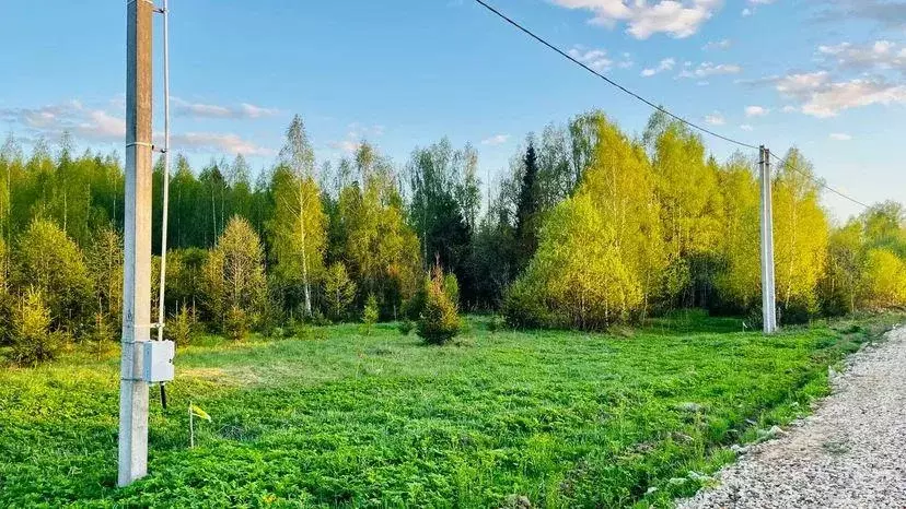 Участок, 9.3 сот., поселения (ижс) - Фото 0