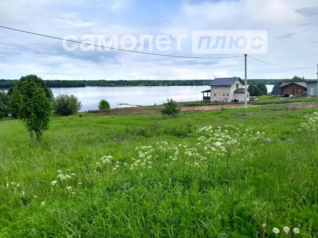 Участок в Вологодская область, Шекснинский муниципальный округ, ... - Фото 0