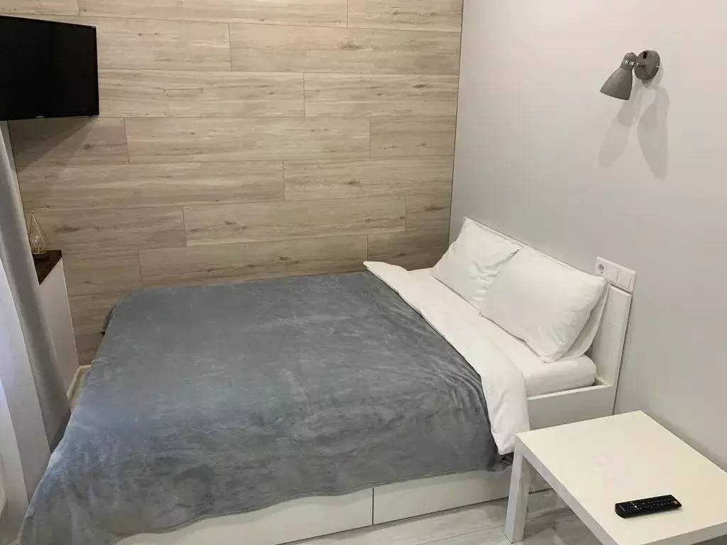 1-к кв. Санкт-Петербург Гагаринская ул., 30 (20.0 м) - Фото 1