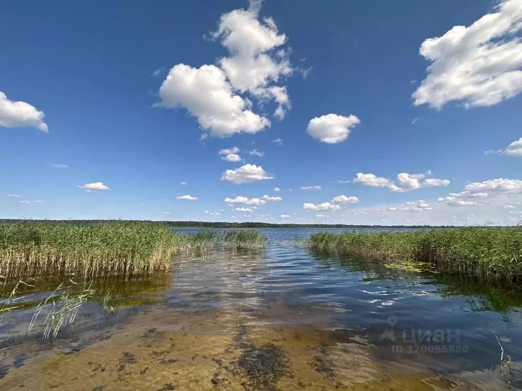 Участок в Тверская область, Осташков  (59.66 сот.) - Фото 1
