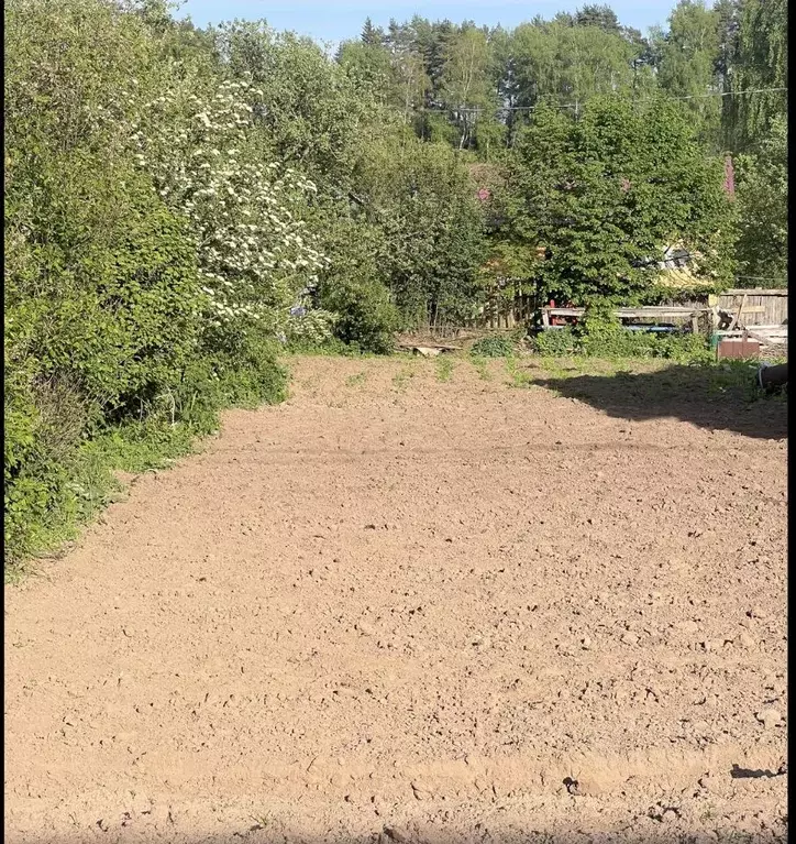 Участок в Костромская область, Костромской район, Караваевское с/пос, ... - Фото 1