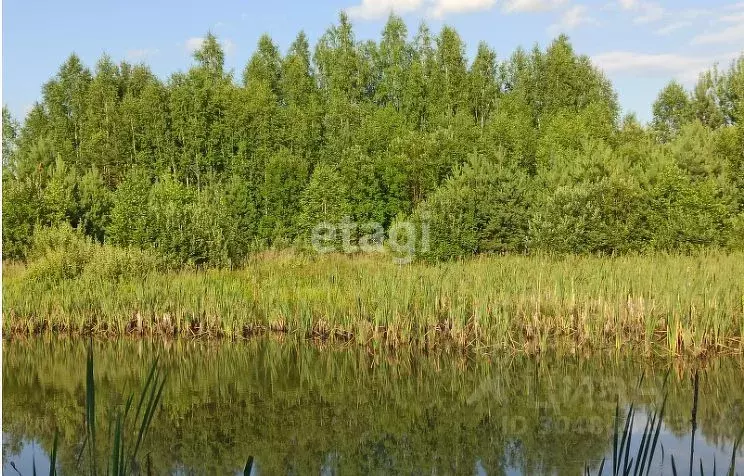 Участок в Пензенская область, Нижнеломовский район, Заря СТ  (200.6 ... - Фото 1