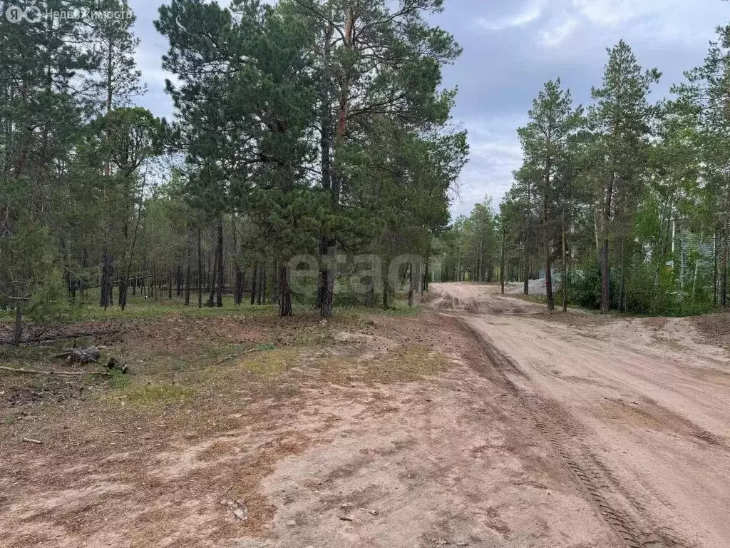 Участок в Республика Саха (Якутия), Мегино-Кангаласский улус, посёлок ... - Фото 2