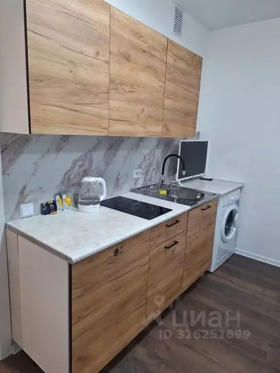 Студия Санкт-Петербург дор. Муринская, 31к3 (30.0 м) - Фото 1