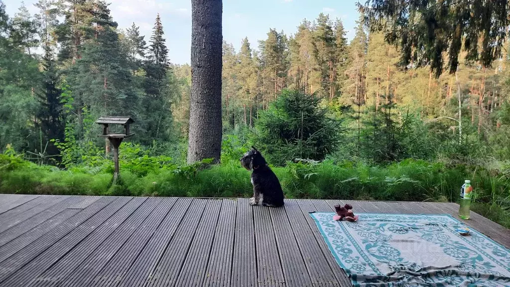 Коттедж в Ленинградская область, Выборгский район, Первомайское с/пос, ... - Фото 0