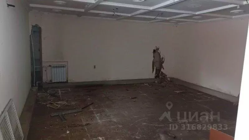 Помещение свободного назначения в Омская область, Омск ул. Пушкина, ... - Фото 1