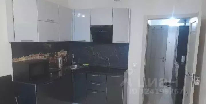 Студия Санкт-Петербург Пулковское ш., 14Е (28.0 м) - Фото 1