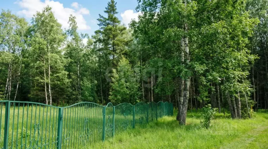 Участок в Владимирская область, Покров городской округ, д. Килекшино  ... - Фото 1