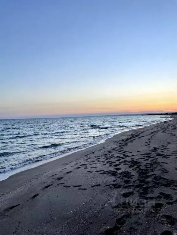 Участок в Крым, Черноморский район, Окуневское с/пос, с. Знаменское ... - Фото 1