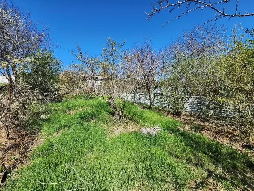 Участок в Севастополь Ветеран садоводческое товарищество, 82 (4.8 ... - Фото 1