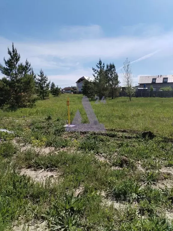 Участок в Алтайский край, Первомайский район, с. Фирсово, Рощино мкр ... - Фото 1