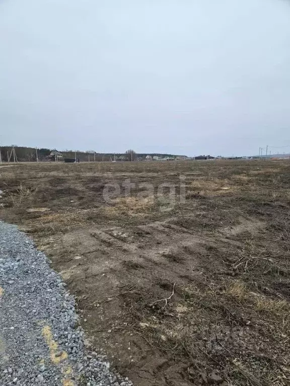 Участок в Воронежская область, Хохольский район, Новогремяченское ... - Фото 1